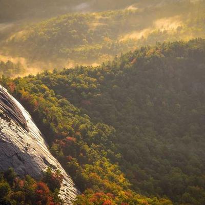 Portrait of Marcus Thorne